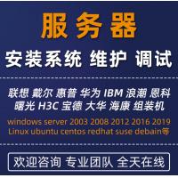 windows server2服务器远程安装维修复调试linux搭建配置技术服务